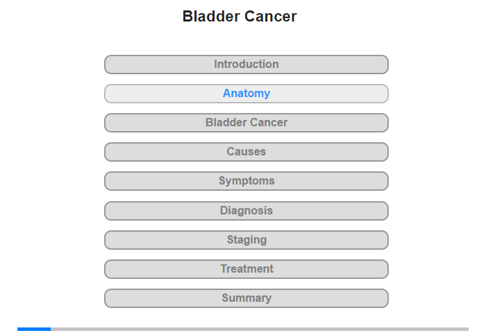 Anatomy of the Bladder