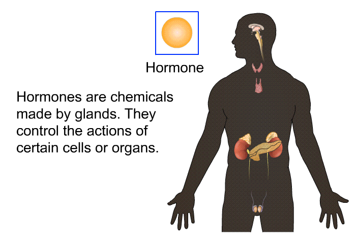 Hormones are chemicals made by glands. They control the actions of certain cells or organs.