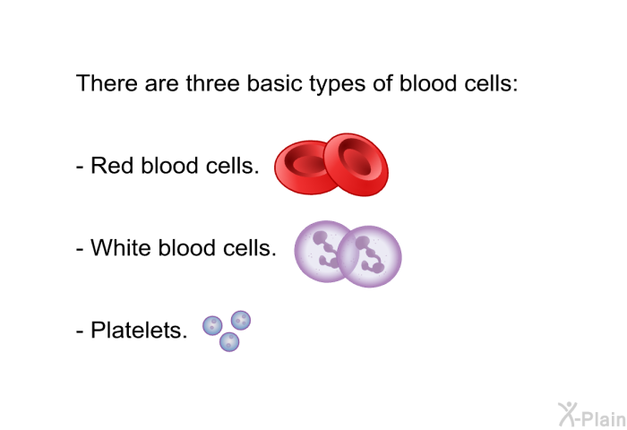 There are three basic types of blood cells:  Red blood cells. White blood cells. Platelets.