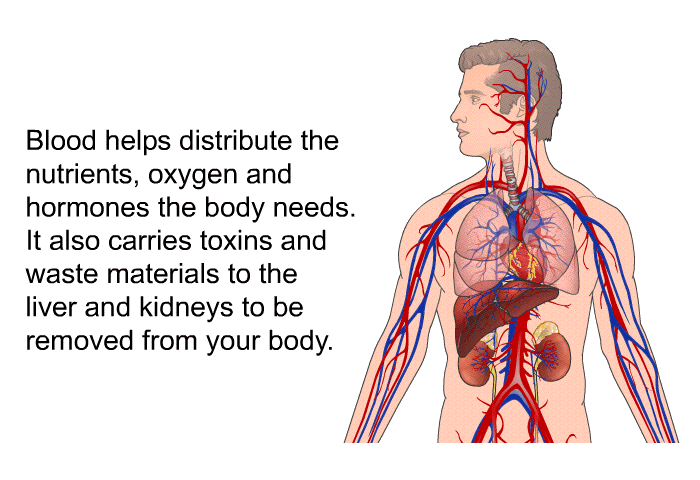 Blood helps distribute the nutrients, oxygen and hormones the body needs. It also carries toxins and waste materials to the liver and kidneys to be removed from your body.