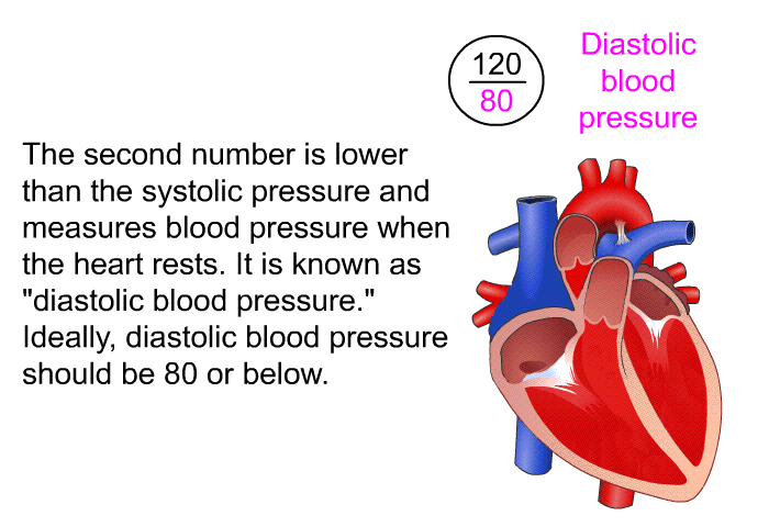 The second number is lower than the systolic pressure and measures blood pressure when the heart rests. It is known as “diastolic blood pressure.” Ideally, diastolic blood pressure should be 80 or below.