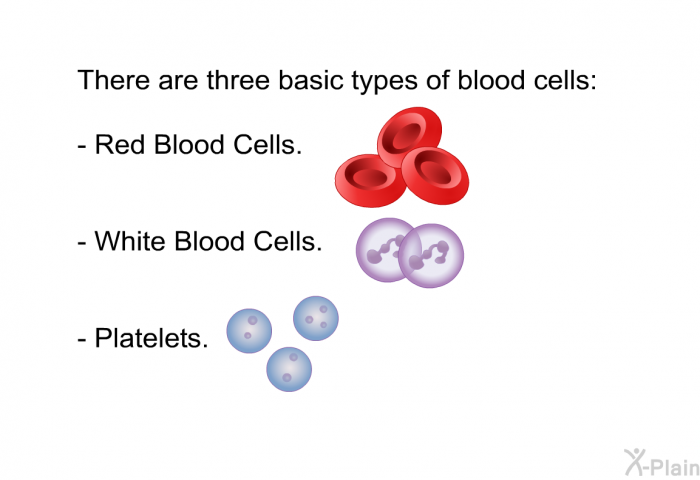 There are three basic types of blood cells:  Red Blood Cells. White Blood Cells. Platelets.