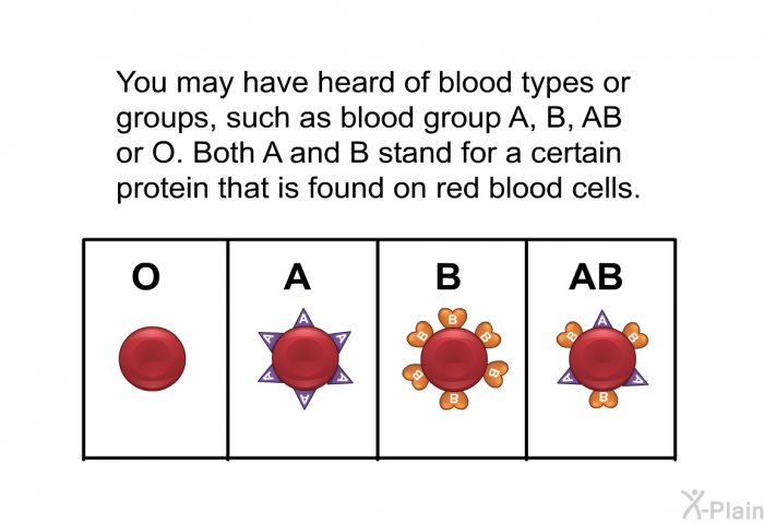 You may have heard of blood types or groups, such as blood group A, B, AB or O. Both A and B stand for a certain protein that is found on red blood cells.