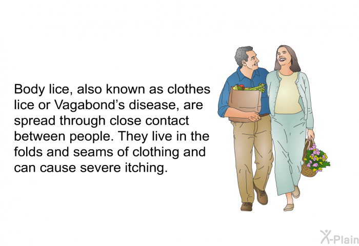 Body lice, also known as clothes lice or Vagabond's disease, are spread through close contact between people. They live in the folds and seams of clothing and can cause severe itching.