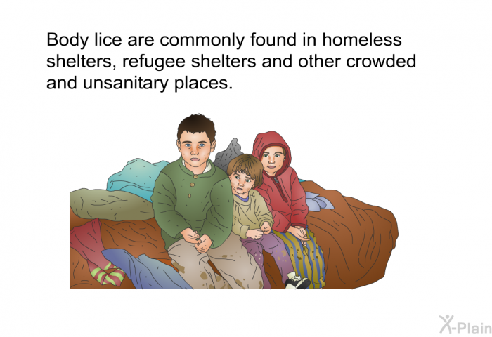 Body lice are commonly found in homeless shelters, refugee shelters and other crowded and unsanitary places.