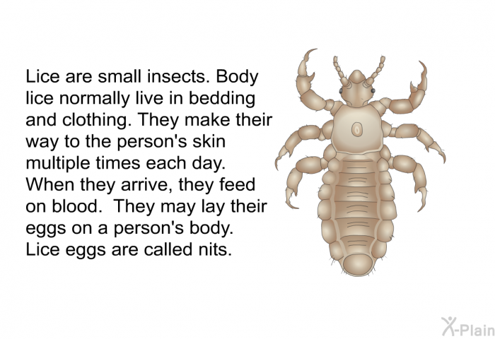 Lice are small insects. Body lice normally live in bedding and clothing. They make their way to the person's skin multiple times each day. When they arrive, they feed on blood. They may lay their eggs on a person's body. Lice eggs are called nits.
