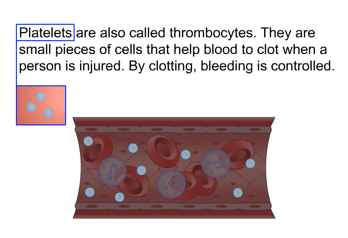 Platelets are also called thrombocytes. They are small pieces of cells that help blood to clot when a person is injured. By clotting, bleeding is controlled.