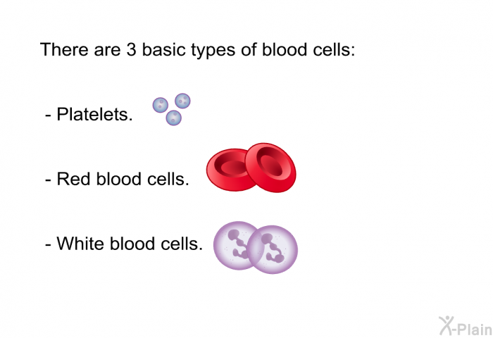 There are 3 basic types of blood cells:  Platelets. Red blood cells. White blood cells.