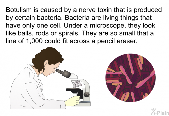 Botulism is caused by a nerve toxin that is produced by certain bacteria. Bacteria are living things that have only one cell. Under a microscope, they look like balls, rods or spirals. They are so small that a line of 1,000 could fit across a pencil eraser.