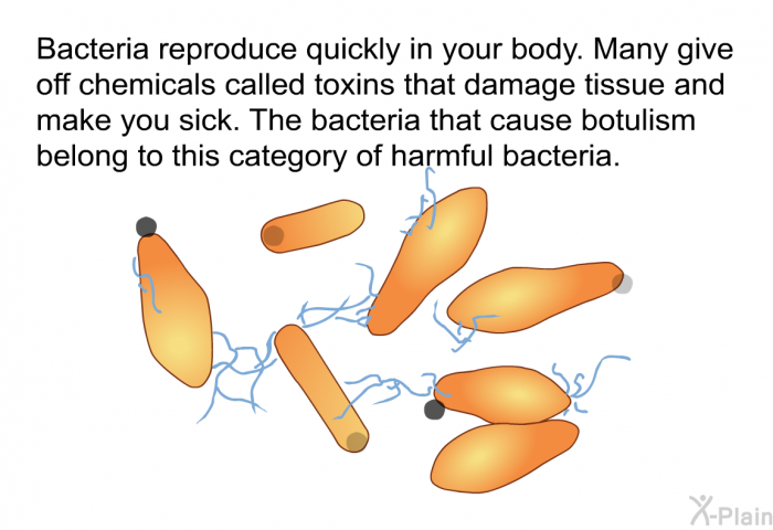 Bacteria reproduce quickly in your body. Many give off chemicals called toxins that damage tissue and make you sick. The bacteria that cause botulism belong to this category of harmful bacteria.