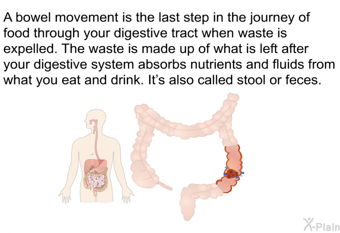 A bowel movement is the last step in the journey of food through your digestive tract when waste is expelled. The waste is made up of what is left after your digestive system absorbs nutrients and fluids from what you eat and drink. It's also called stool or feces.