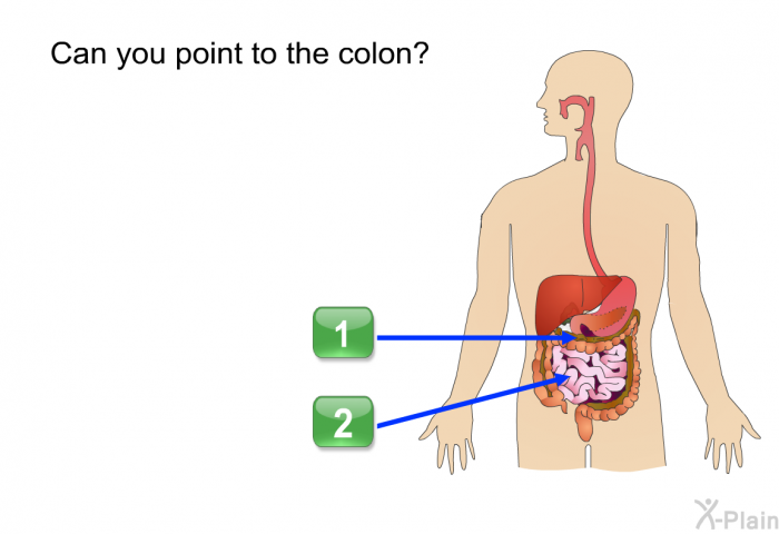 Can you point to the colon?