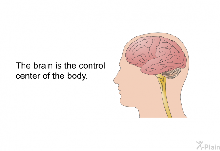 The brain is the control center of the body.