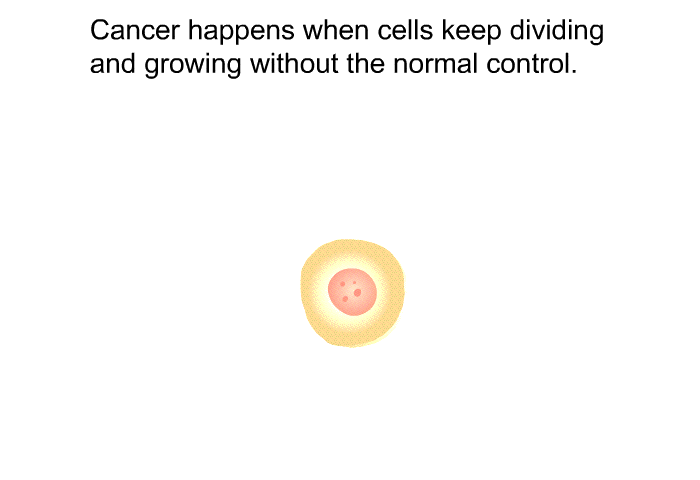 Cancer happens when cells keep dividing and growing without the normal control.