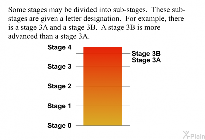 Some stages may be divided into sub-stages. These sub-stages are given a letter designation. For example, there is a stage 3A and a stage 3B. A stage 3B is more advanced than a stage 3A.