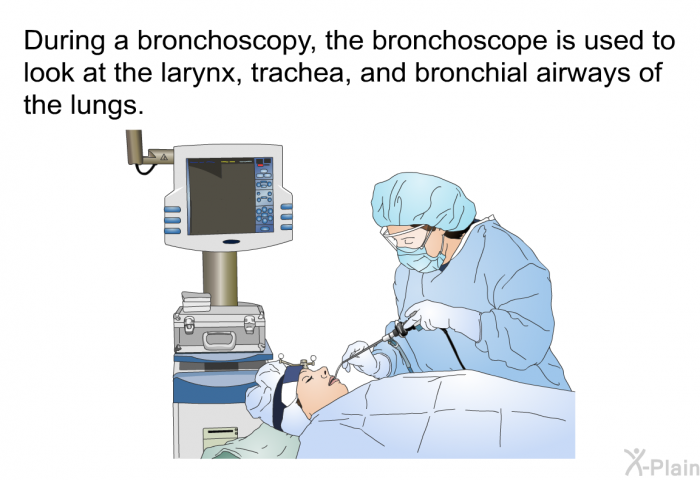 During a bronchoscopy, the bronchoscope is used to look at the larynx, trachea and bronchial airways of the lungs.
