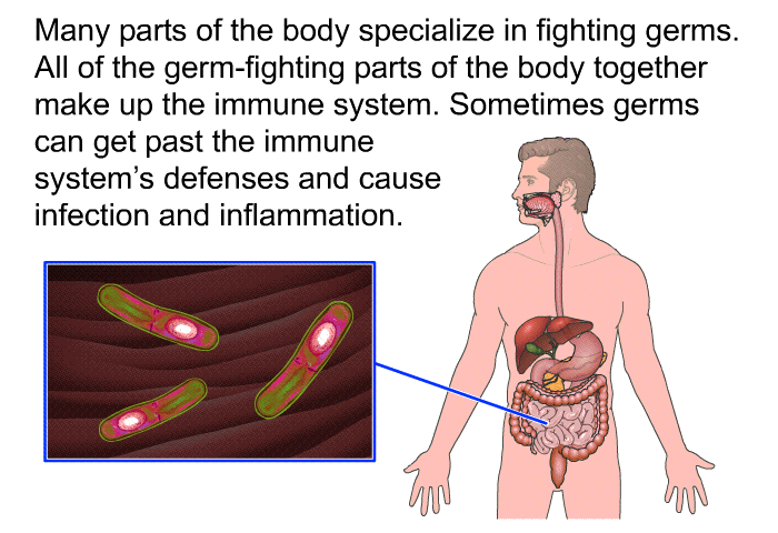 Many parts of the body specialize in fighting germs. All of the germ-fighting parts of the body together make up the immune system. Sometimes germs can get past the immune system's defenses and cause infection and inflammation.