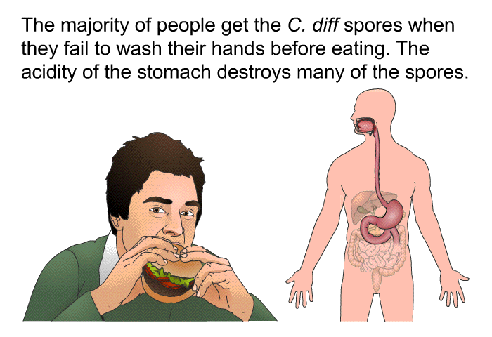 The majority of people get the C. <I>diff </I>spores when they fail to wash their hands before eating. The acidity of the stomach destroys many of the spores.