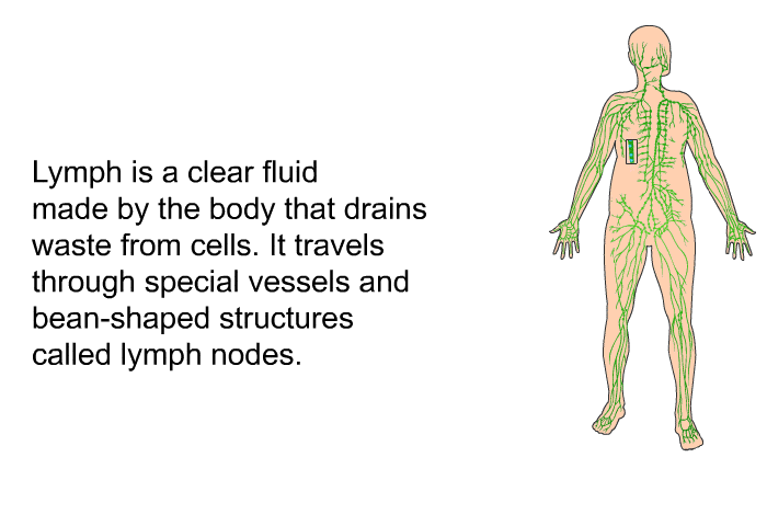 Lymph is a clear fluid made by the body that drains waste from cells. It travels through special vessels and bean-shaped structures called lymph nodes.