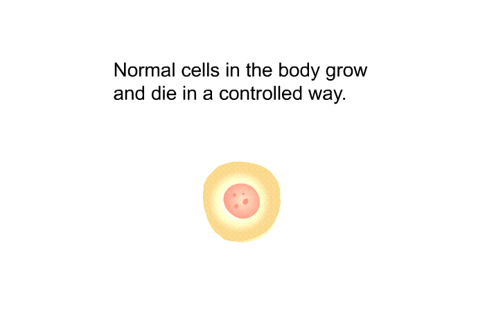Normal cells in the body grow and die in a controlled way.