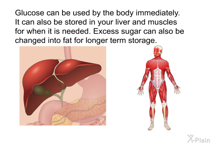 Glucose can be used by the body immediately. It can also be stored in your liver and muscles for when it is needed. Excess sugar can also be changed into fat for longer term storage.