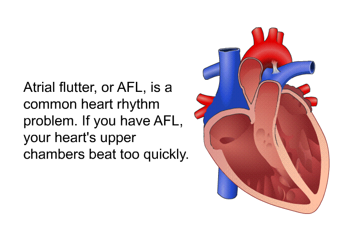 Atrial flutter, or AFL, is a common heart rhythm problem. If you have AFL, your heart's upper chambers beat too quickly.