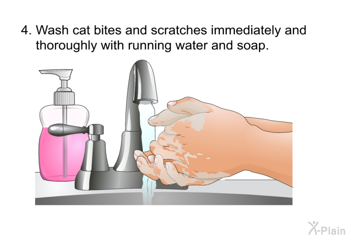 Wash cat bites and scratches immediately and thoroughly with running water and soap.