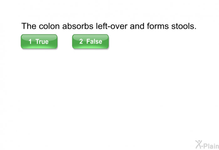 The colon absorbs left-over and forms stools.