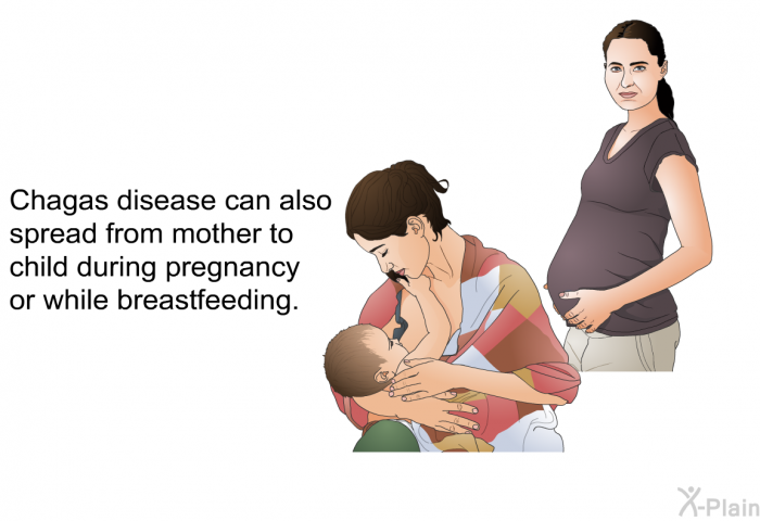 Chagas disease can also spread from mother to child during pregnancy or while breastfeeding.