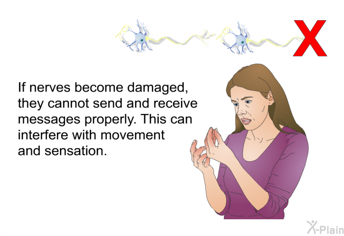 If nerves become damaged, they cannot send and receive messages properly. This can interfere with movement and sensation.