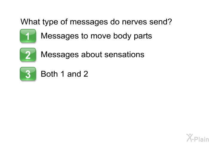 What type of messages do nerves send? Choose one of the following.  Messages to move body parts Messages about sensations Both 1 and 2