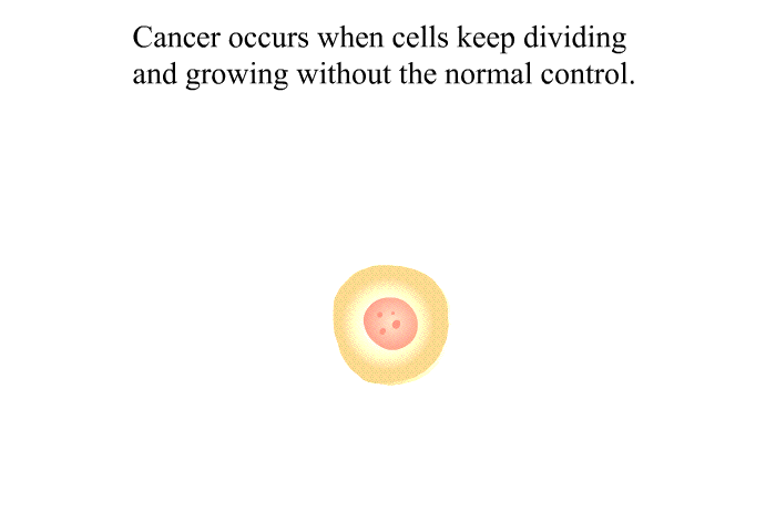 Cancer occurs when cells keep dividing and growing without the normal control.