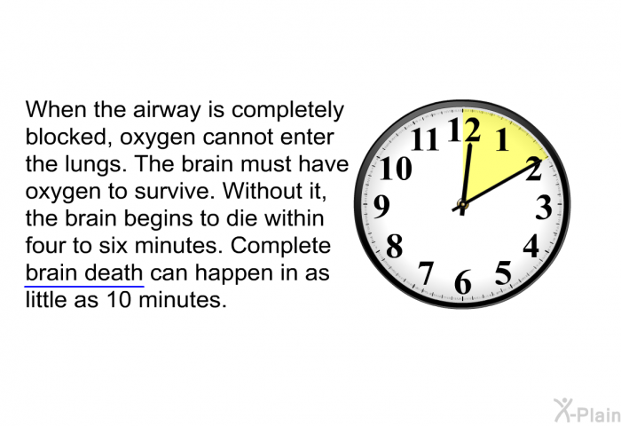 When the airway is completely blocked, oxygen cannot enter the lungs. The brain must have oxygen to survive. Without it, the brain begins to die within four to six minutes. Complete brain death can happen in as little as 10 minutes.