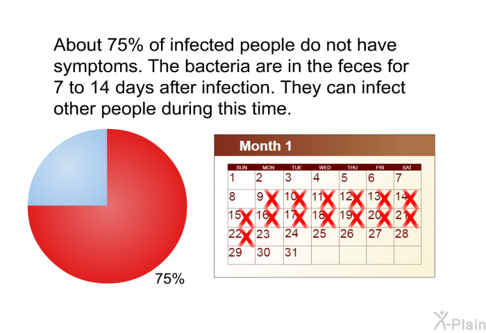 About 75% of infected people do not have symptoms. The bacteria are in the feces for 7 to 14 days after infection. They can infect other people during this time.