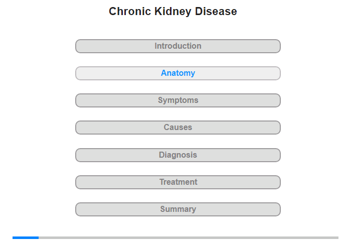 Anatomy of the Kidneys