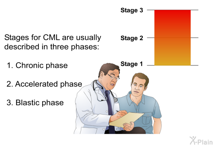 Stages for CML are usually described in three phases:  Chronic phase Accelerated phase Blastic phase