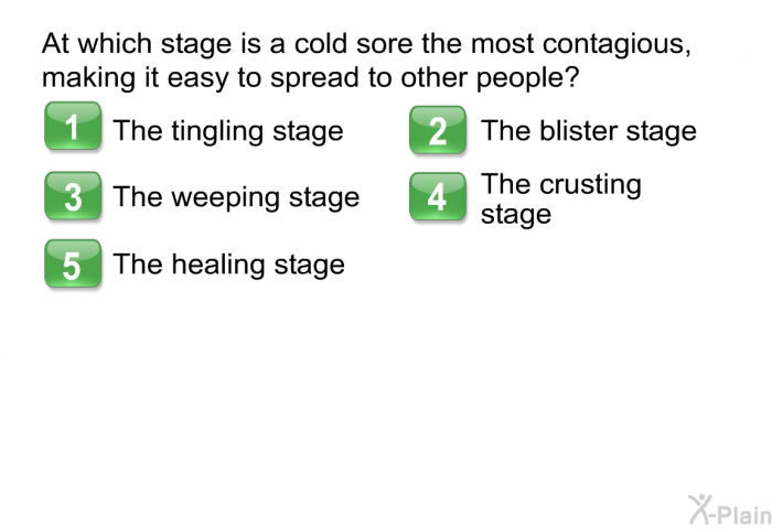 At which stage is a cold sore the most contagious, making it easy to spread to other people?  The tingling stage The blister stage The weeping stage The crusting stage The healing stage