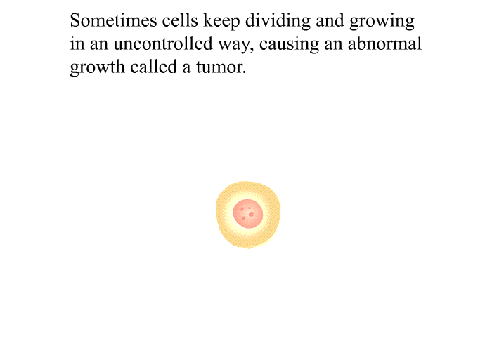 Sometimes cells keep dividing and growing in an uncontrolled way, causing an abnormal growth called a tumor.
