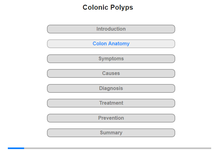 Anatomy of the Colon