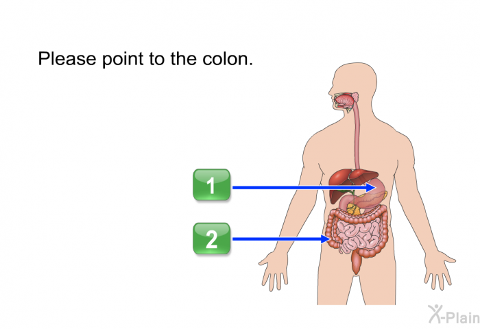 Please point to the colon.