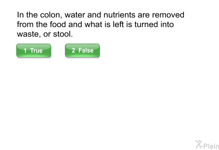 In the colon, water and nutrients are removed from the food and what is left is turned into waste, or stool.