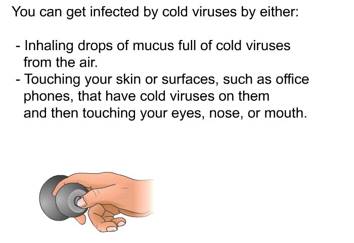 You can get infected by cold viruses by either:  Inhaling drops of mucus full of cold viruses from the air Touching your skin or surfaces, such as office phones, that have cold viruses on them and then touching your eyes, nose, or mouth