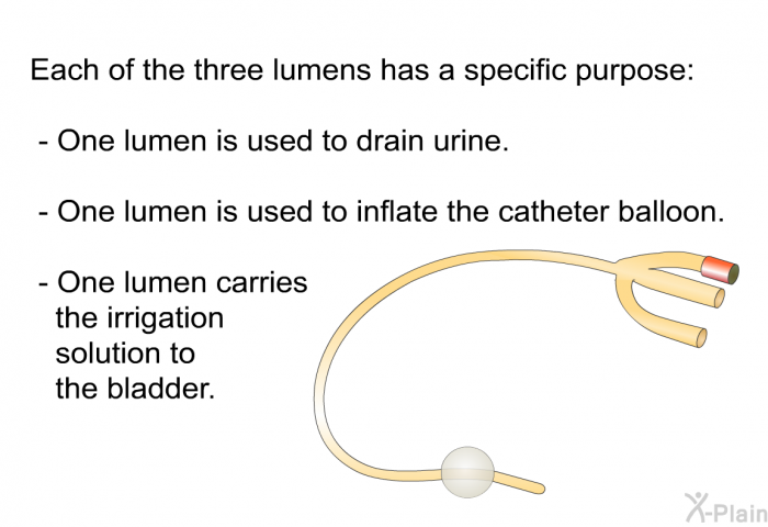 Each of the three lumens has a specific purpose:  One lumen is used to drain urine. One lumen is used to inflate the catheter balloon. One lumen carries the irrigation solution to the bladder.
