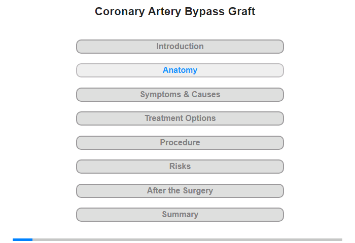 Anatomy