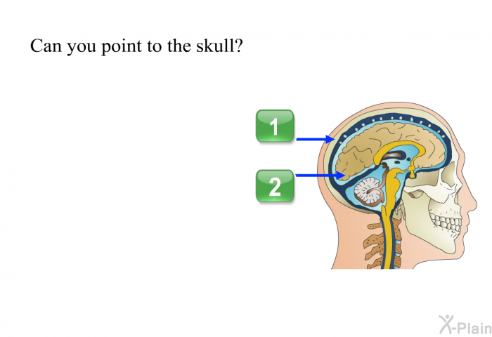 Can you point to the skull? Press A or B