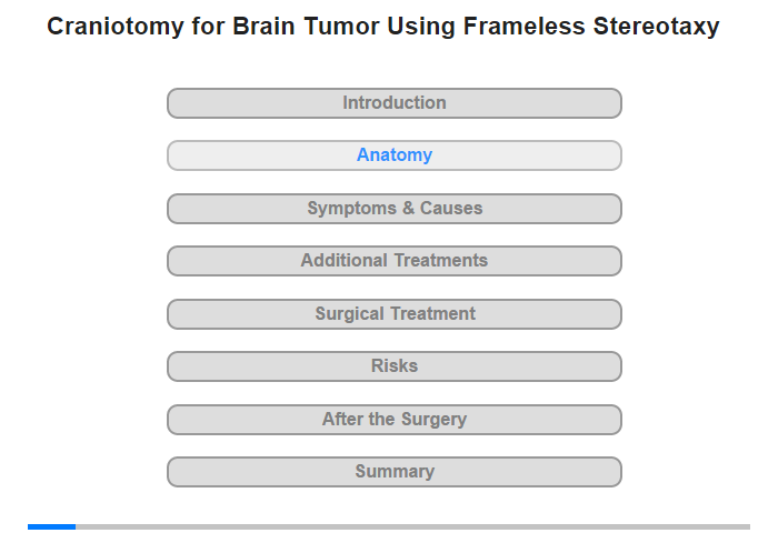 Anatomy