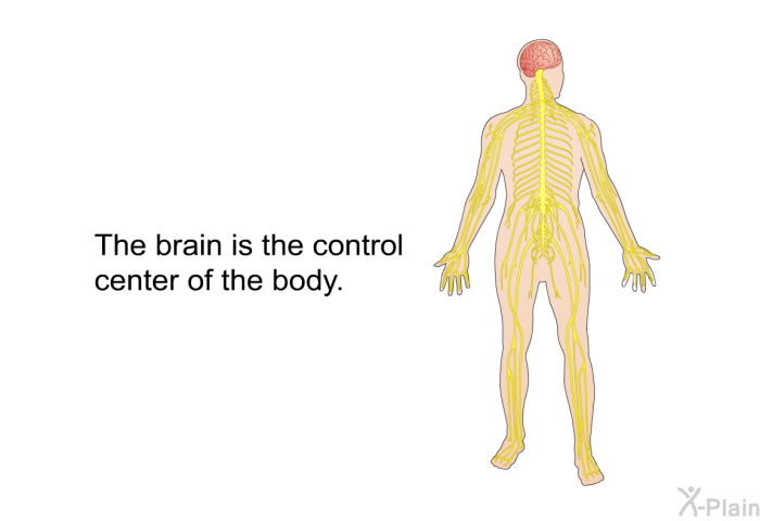 The brain is the control center of the body.