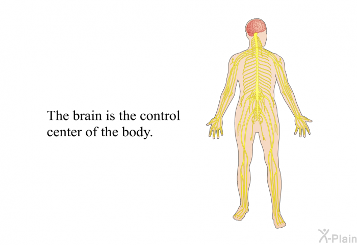 The brain is the control center of the body.