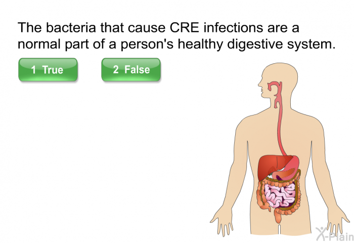 The bacteria that cause CRE infections are a normal part of a person's healthy digestive system. Select True or False.