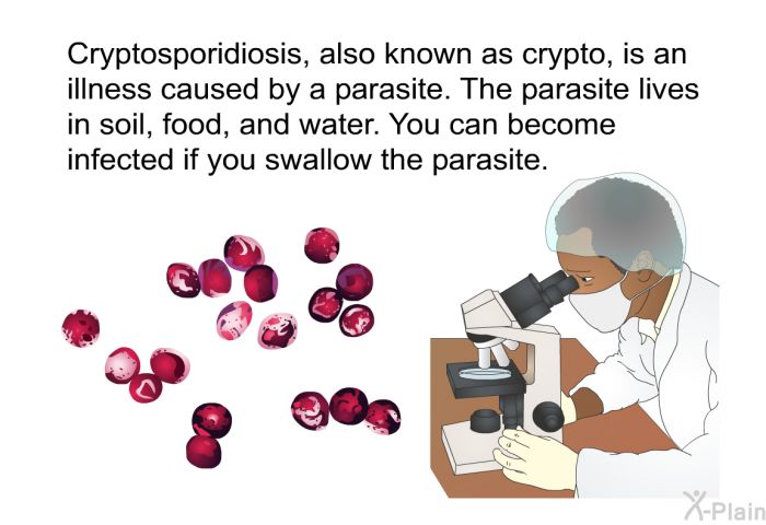 Cryptosporidiosis, also known as crypto, is an illness caused by a parasite. The parasite lives in soil, food, and water. You can become infected if you swallow the parasite.